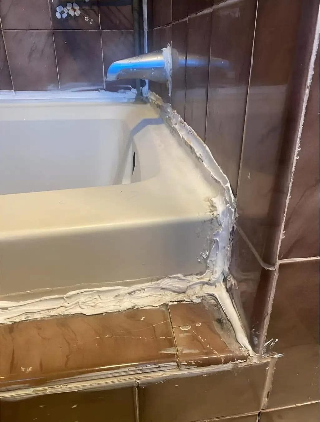 Describe this image